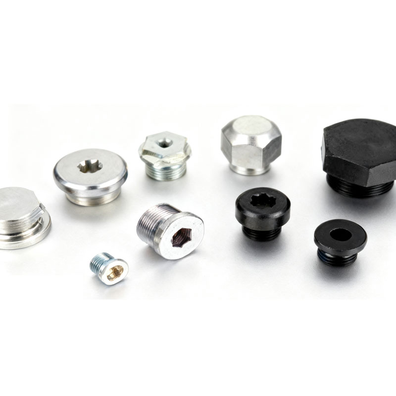 سٹینلیس سٹیل فلانج پلگ