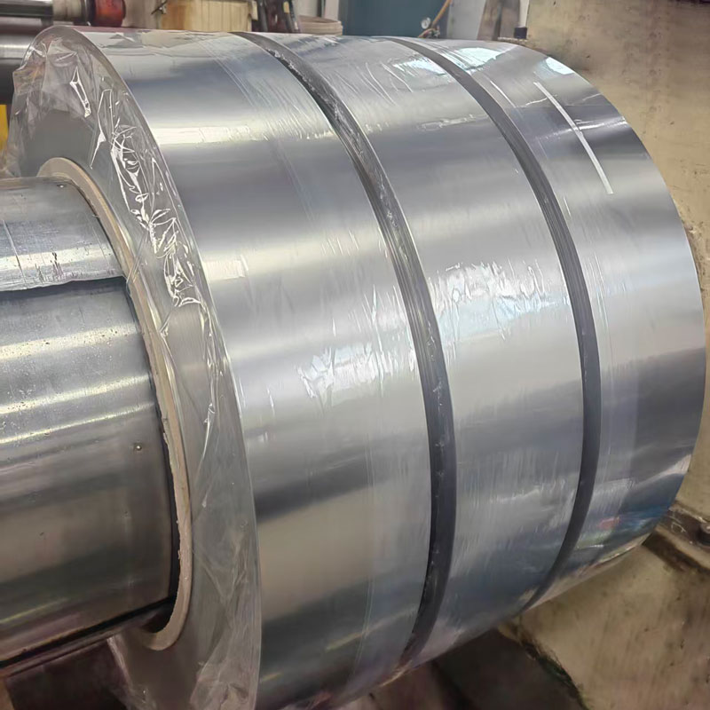 Thin Stainless Steel Strips